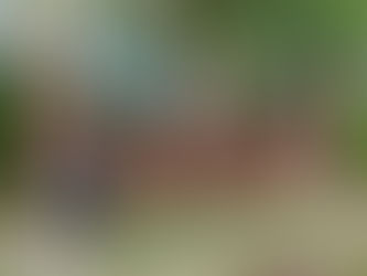 Joy's Graduation Photos at Lipscomb