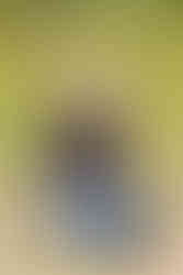 nashville senior portraits nashville; tn photographer senior squad; gina co photography; senior squad, waldens pumpkin patch, pumpkin patch nashville