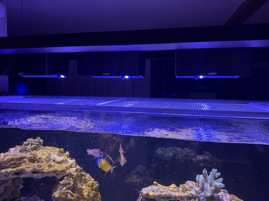 Thumbnail: Red Sea ReefLed 90 Pendant Shade