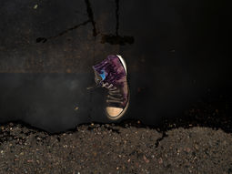 L1010527.jpg