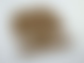 : A young female learner in a striped sweater sitting in warm, natural sunlight while focusing thoughtfully on a digital tablet.