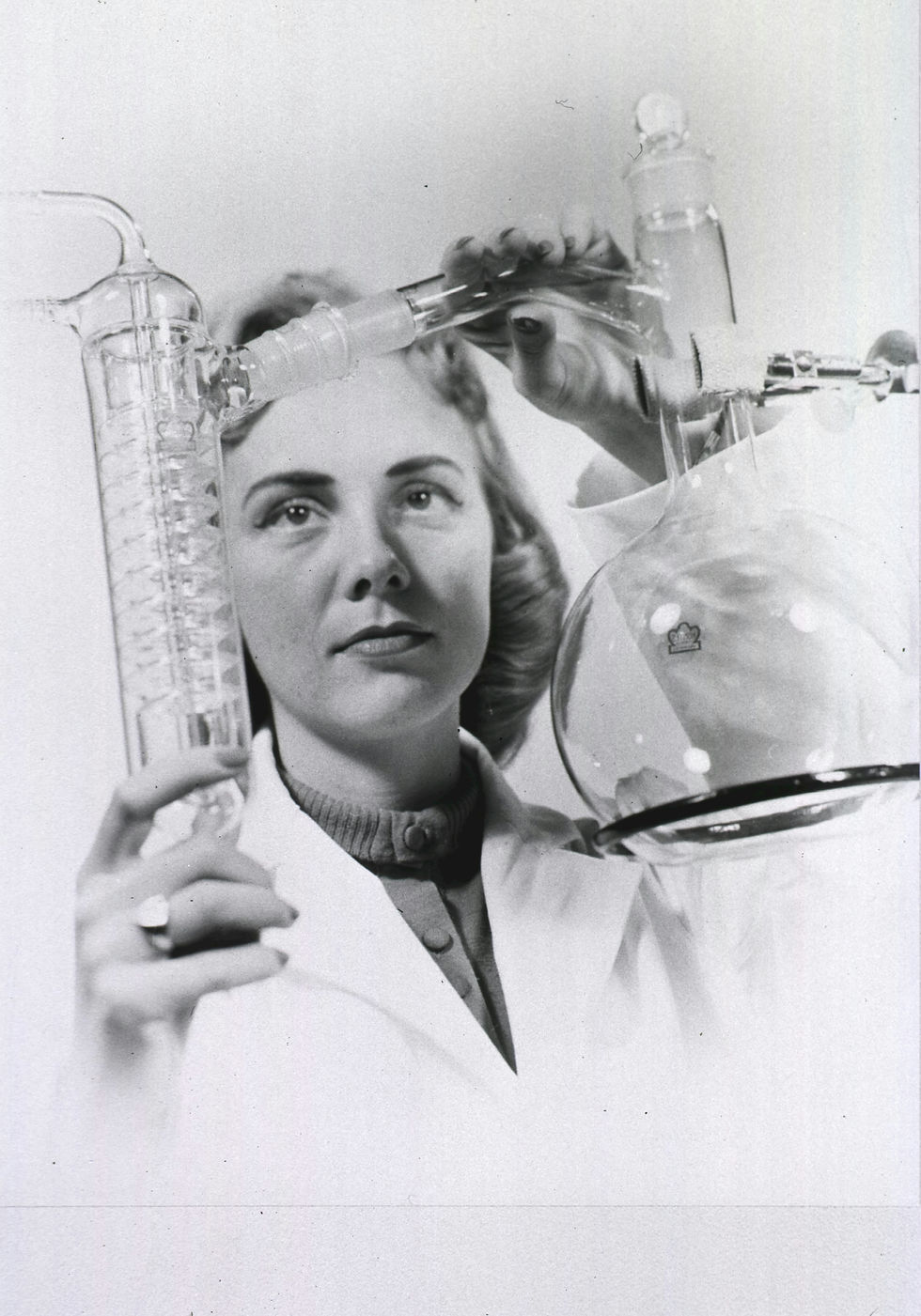 A woman scientist adjusts glass distillation equipment, holding a large round-bottom flask and condenser in a laboratory .