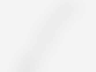 Migratory birds flying in formation across the open sky during a long distance journey