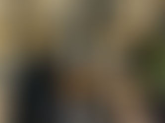 Adult male Saiga Antelope with large, flexible nose and curved horns standing on dry, open grasslands.