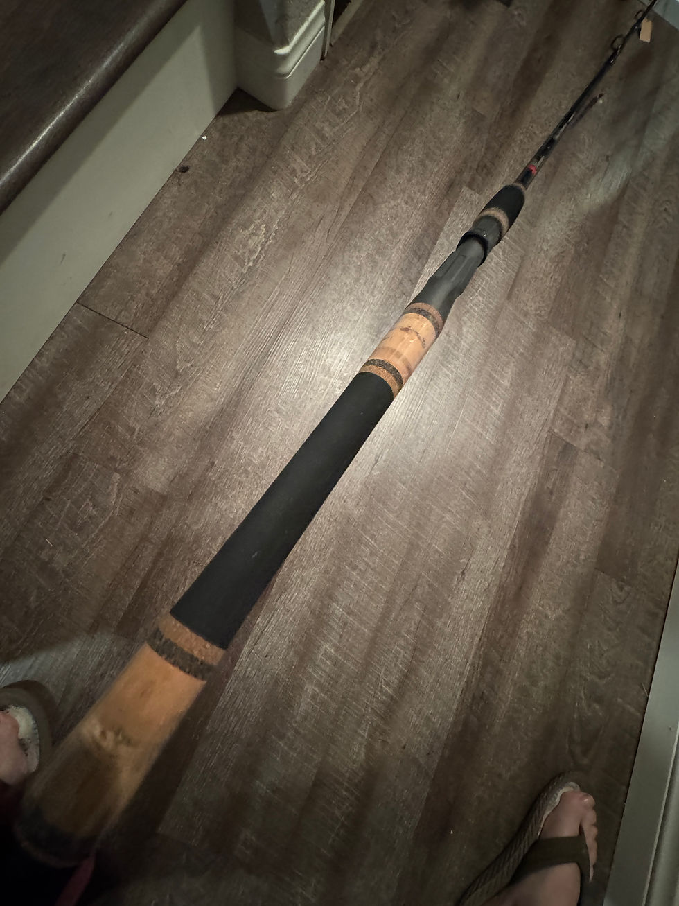 Thumbnail: Phenix Black Diamond inshore series. 7’6” Med 