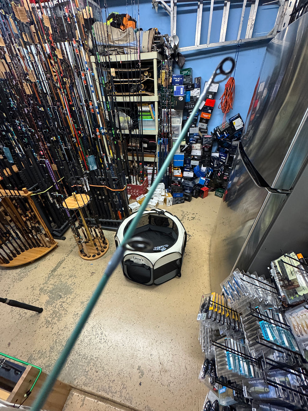 Thumbnail: Gloomis IMX Pro 7’6” MH spinning rod 
