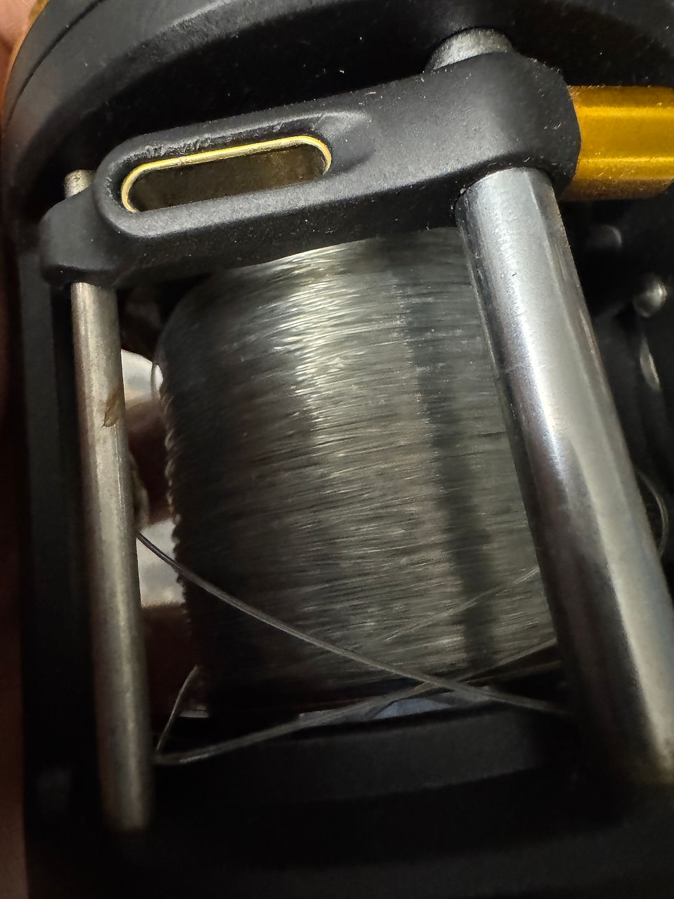 Thumbnail: Penn squall 30 level wind star drag righty conventional salt water reel 