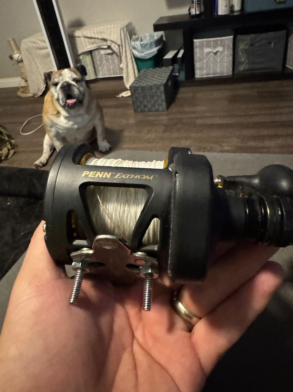 Thumbnail: Lefty Penn Fathom 30 two speed 
