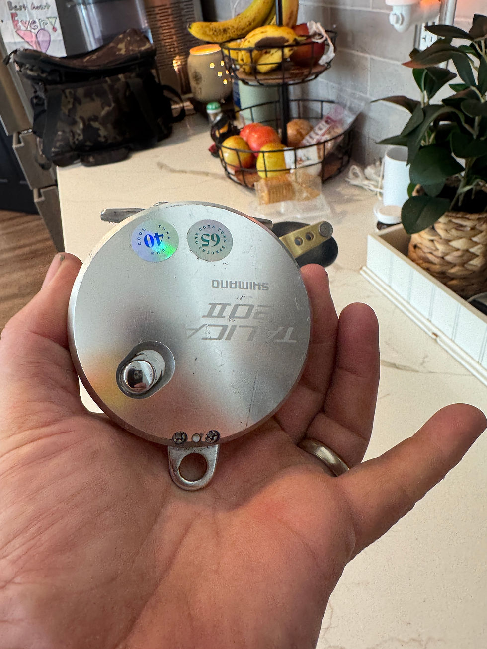 Thumbnail: Shimano Talica 20II two speed salt water fishing reel. Conventional 