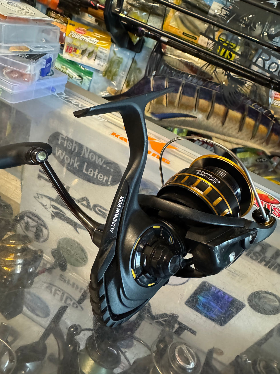 Thumbnail: Daiwa BG 3000 salt water reel. 
