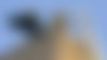 Determinismo Suave versus Determinismo duro. Determinismo suave, determinismo duro, libre albedrío, compatibilismo, incompatibilismo, filosofía, ética, causalidad, responsabilidad moral, determinismo causal, William James, acciones humanas, decisiones, libertad, determinismo metafísico, predeterminación, voluntad, moralidad, filosofía moderna, teoría del libre albedrío, determinismo filosófico, determinismo psicológico, determinismo lógico, determinismo epistémico, determinismo científico, determinismo social, determinismo biológico, determinismo cultural, determinismo histórico, determinismo tecnológico