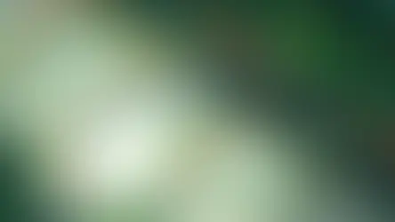 Razones para Invertir en el S&P 500: Seguridad, Crecimiento y Rendimiento a Largo Plazo. S&P 500, invertir S&P 500, índice bursátil, acciones USA, diversificación, fondos indexados, ETF S&P 500, inversión segura, Warren Buffett S&P 500, bolsa de valores, rentabilidad, finanzas personales, inversión a largo plazo, ahorro inteligente, crecimiento financiero, portafolio diversificado, inversión pasiva, mejores fondos, economía EEUU, gestión de riesgos, rendimiento anual, estabilidad financiera, invertir en bolsa, inversión indexada, fondos de inversión, estrategia financiera, capital seguro, rendimiento S&P 500, inversión global, crecimiento sostenido 