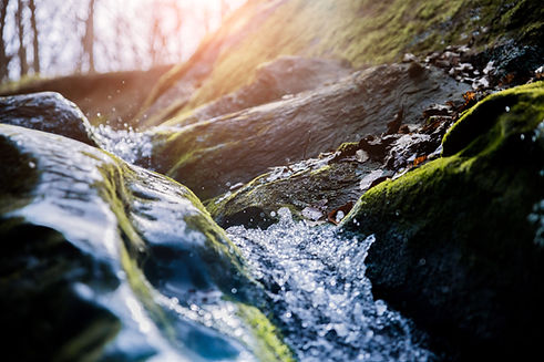 Water.jpeg