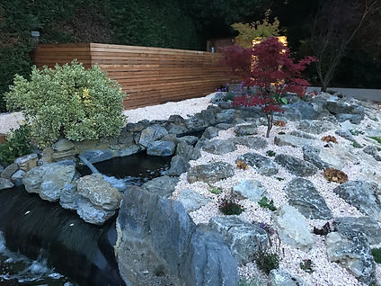 Rock-edged water feature with a Japanese maple and timber screening.