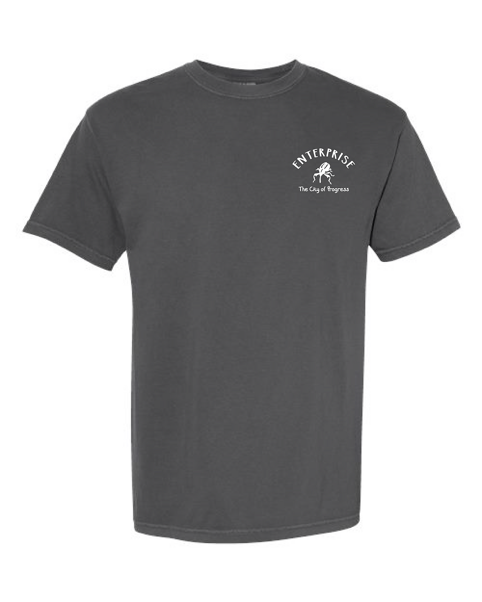Thumbnail: 2496 FALL FESTIVAL COMFORT COLORS 1717 COTTON TSHIRT