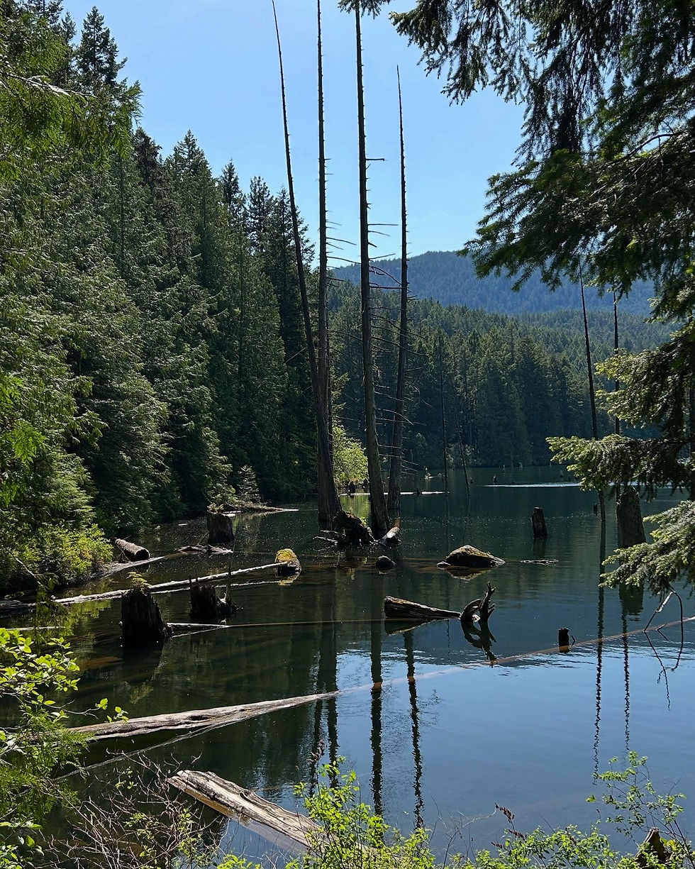 Westwood Lake in Nanaimo with mountains and dock access – ideal for nature-inspired outdoor portraits
