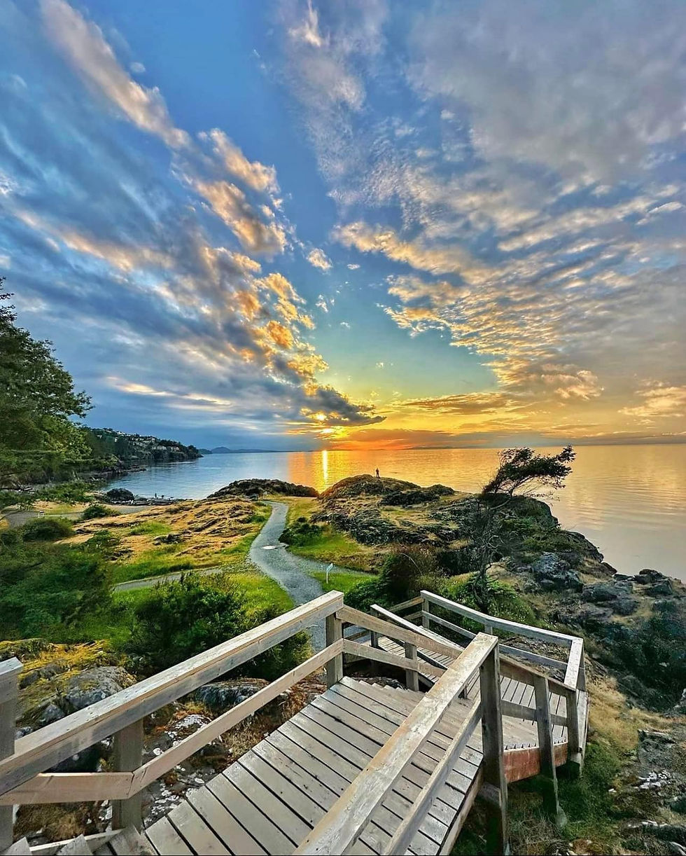 Forest and ocean cliffs at Neck Point Park in Nanaimo – a popular spot for maternity and elopement photography