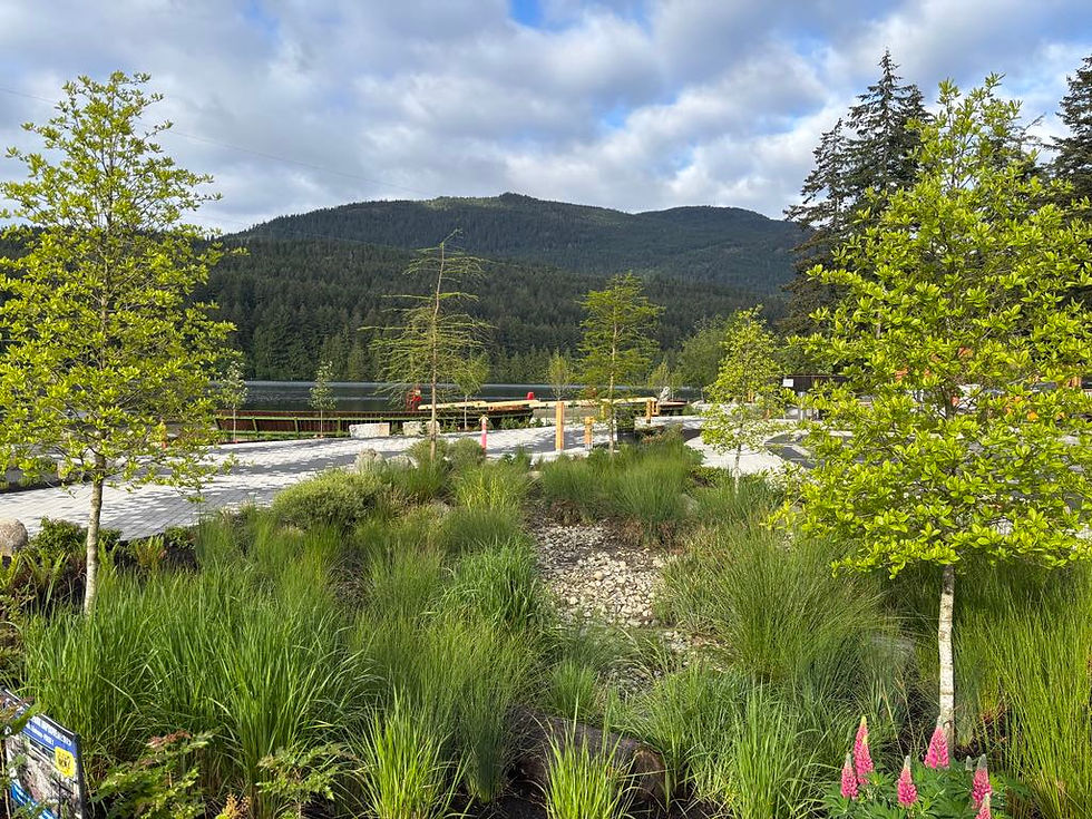 Westwood Lake in Nanaimo with mountains and dock access – ideal for nature-inspired outdoor portraits