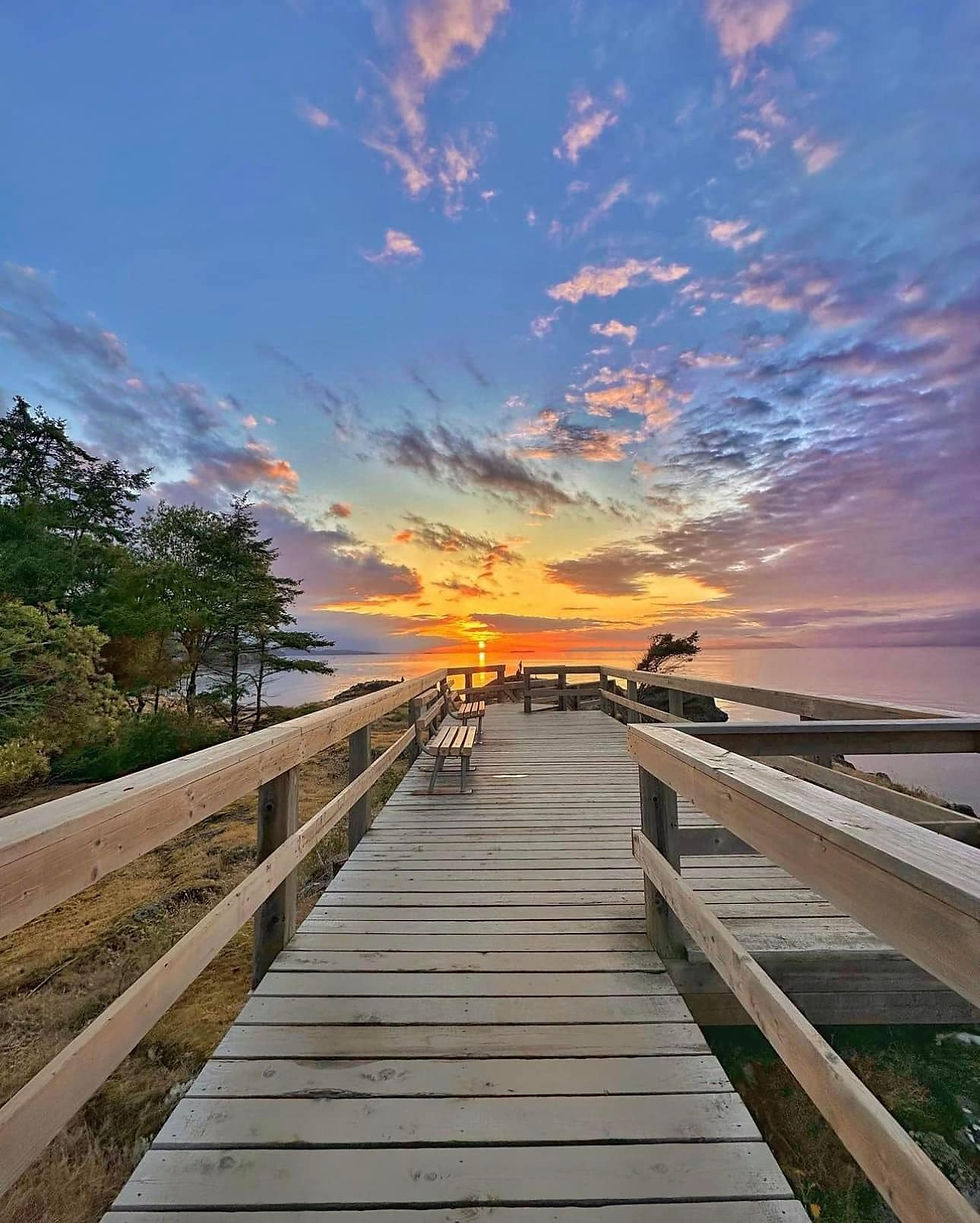 Forest and ocean cliffs at Neck Point Park in Nanaimo – a popular spot for maternity and elopement photography