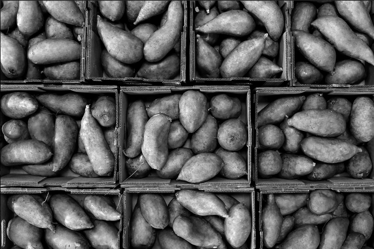 Farm Fresh Produce