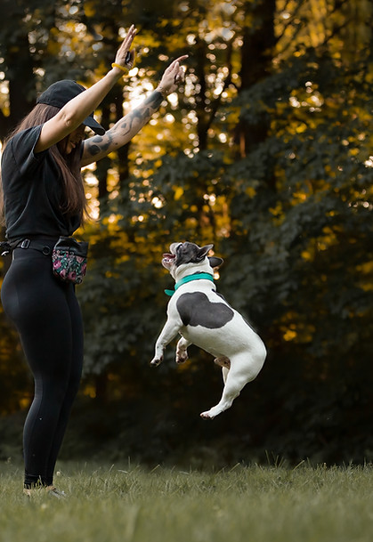 2D4A0938-Casanova,APoil-24Full (2).jpg