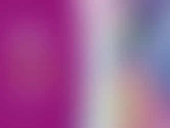 📖 Das literarische GLC-Quartett..... 📖