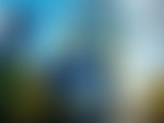 Як IT-компанії відкрити бізнес і рахунок у Польщі