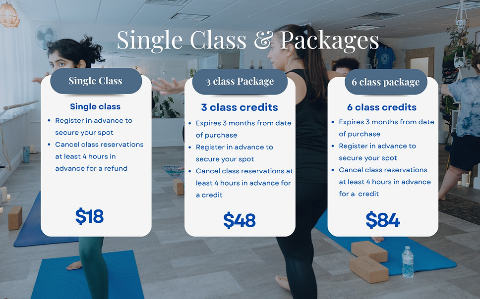 Updated pricing 2026, wesbite header, single class & packages.png
