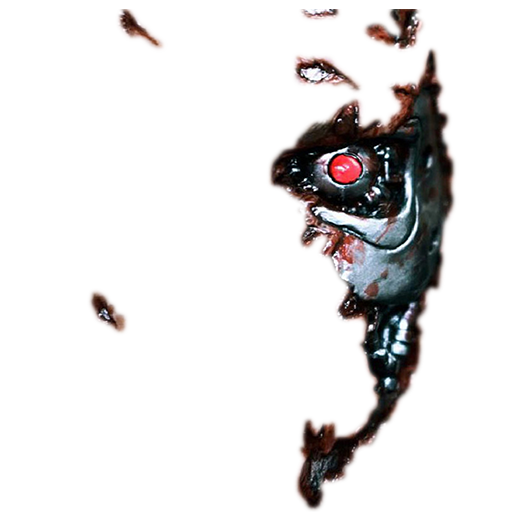 T1