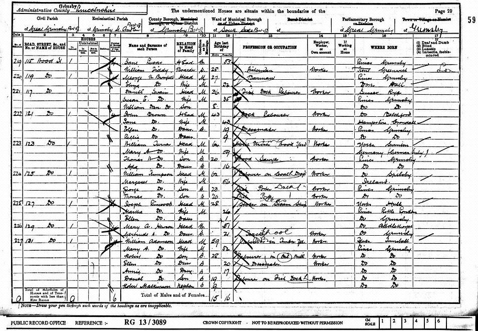 Turner Family - 1901 Census Image (Edit).jpg