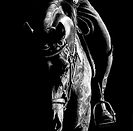 Denise-Brown-On the Bit.jpg