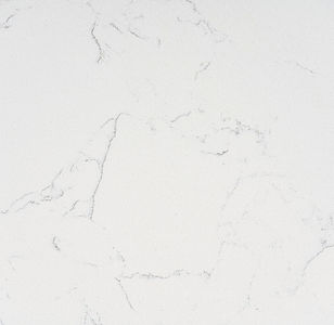 Carrara-Verna-Close-Up_edited.jpg
