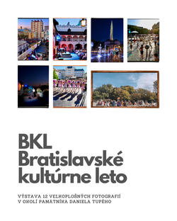 VÝSTAVA BKL / PIA - SOB