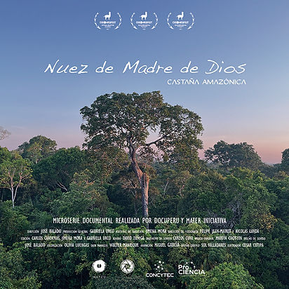 Afiche - Nuez de Madre de Dios_formato POST.jpg