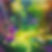 70030722_1751764468288097_9070152379373193035_n.jpg