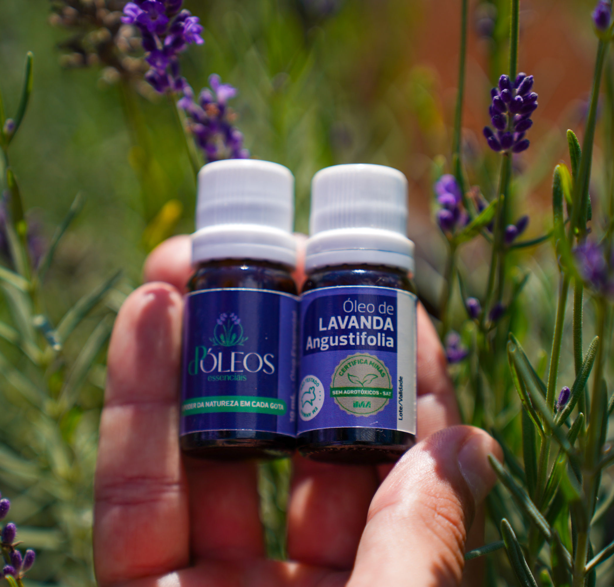 Óleo Essencial de Lavanda Angustifolia