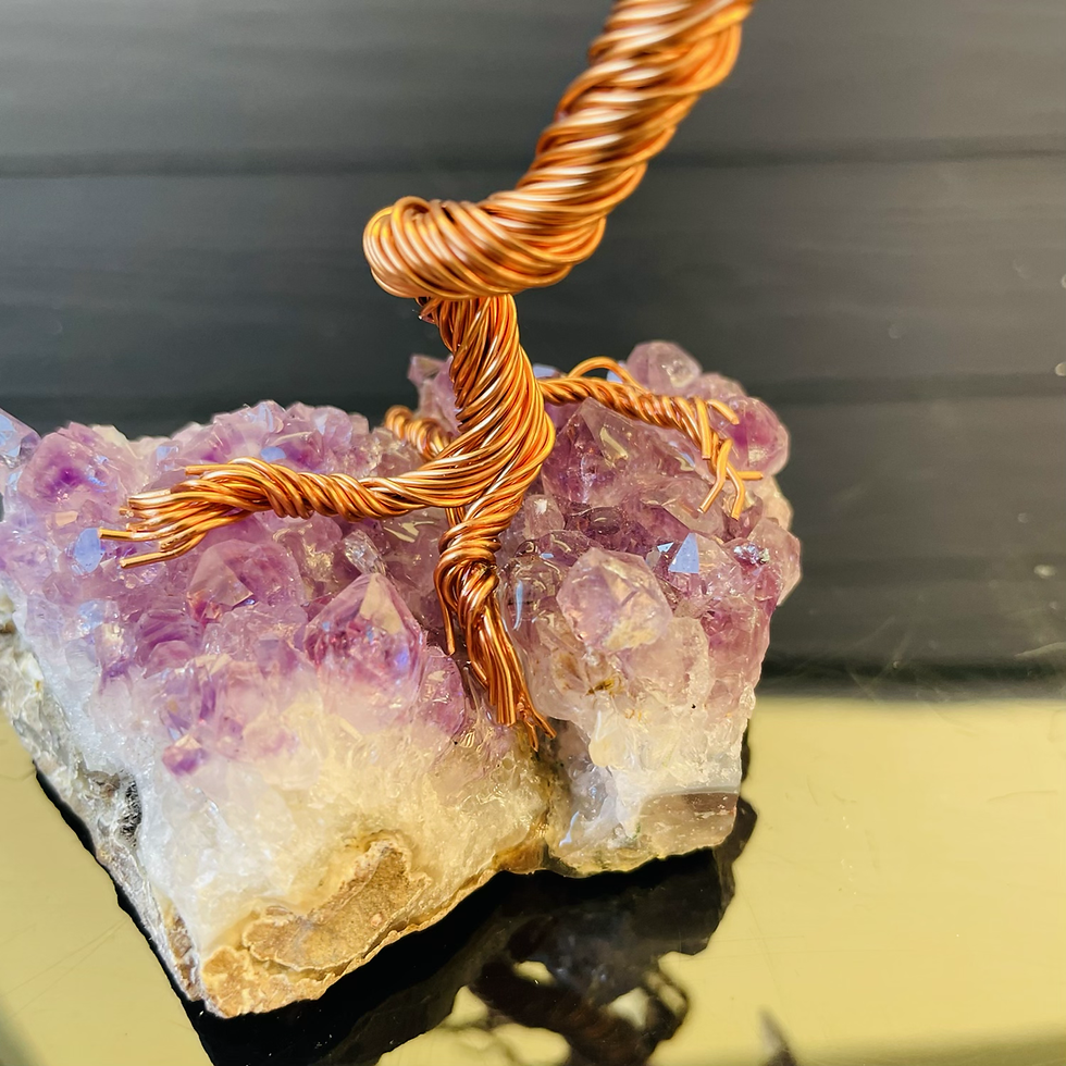 Miniaturbild: Amethyst Fly