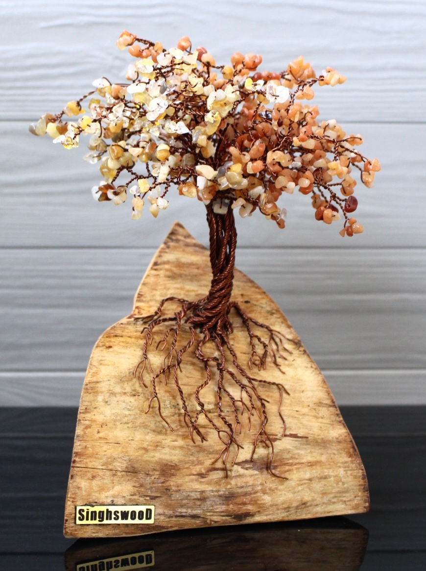 Miniaturbild: Autumn Sunshine