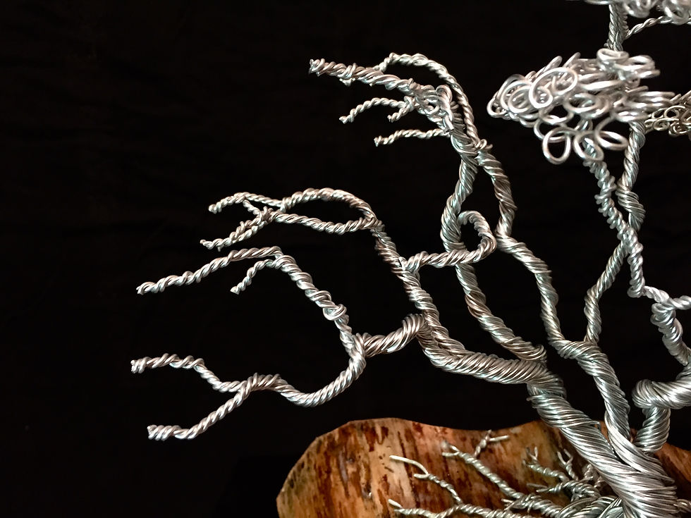 Miniaturbild: Dry Greenery