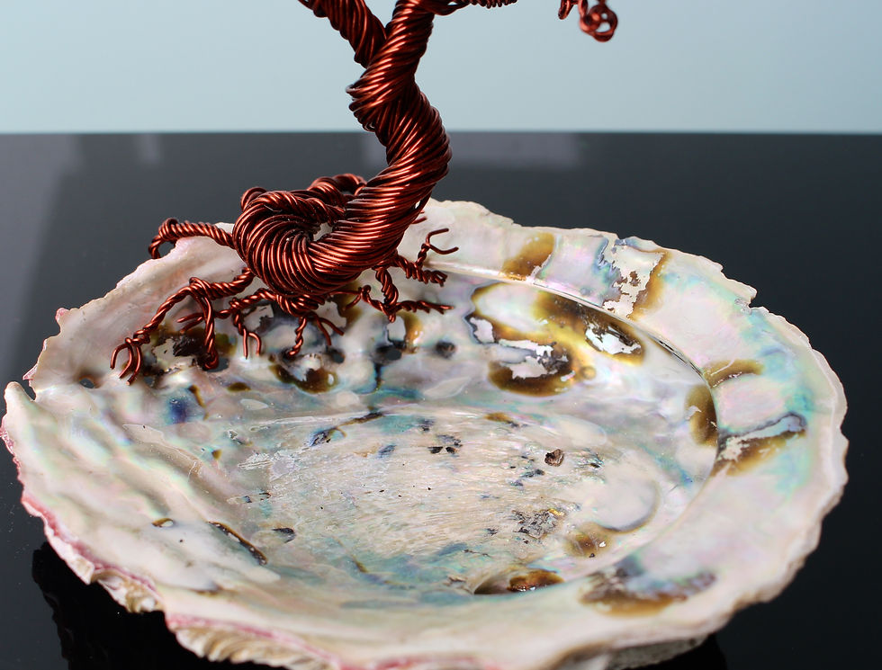 Miniaturbild: Sea Shell