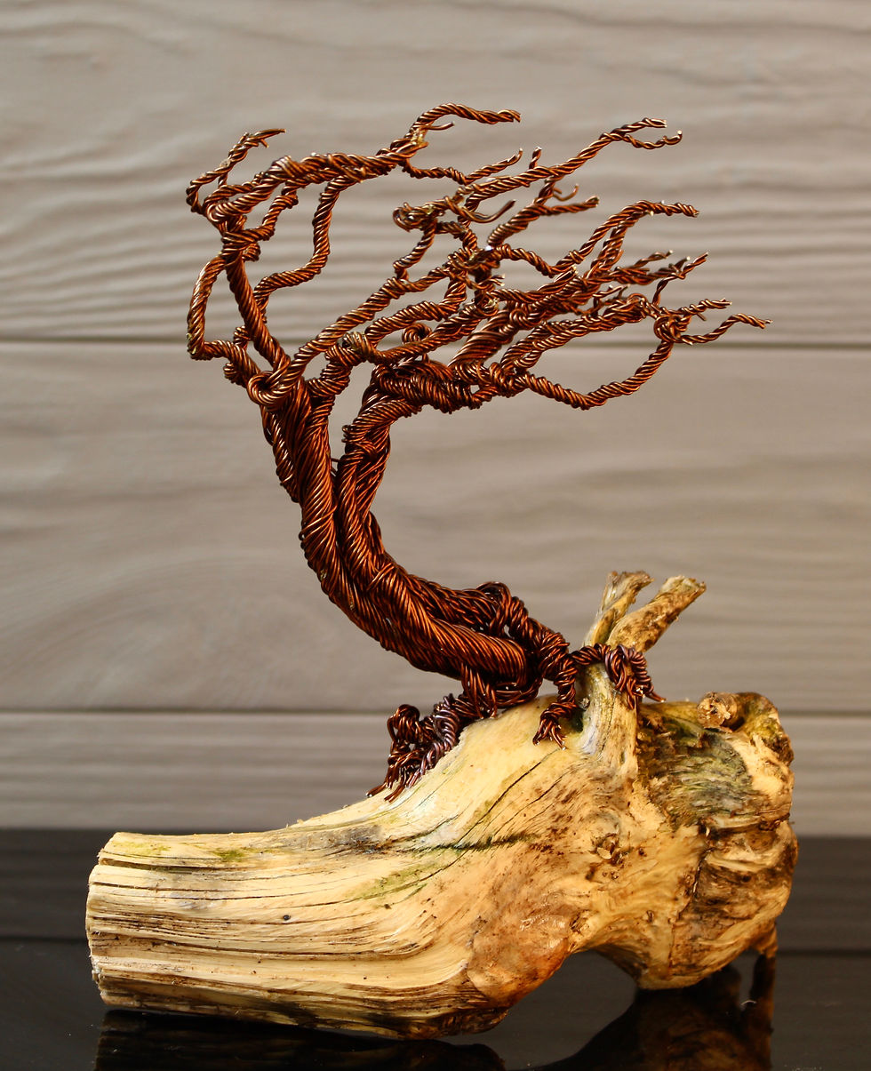 Miniaturbild: Wild Horse