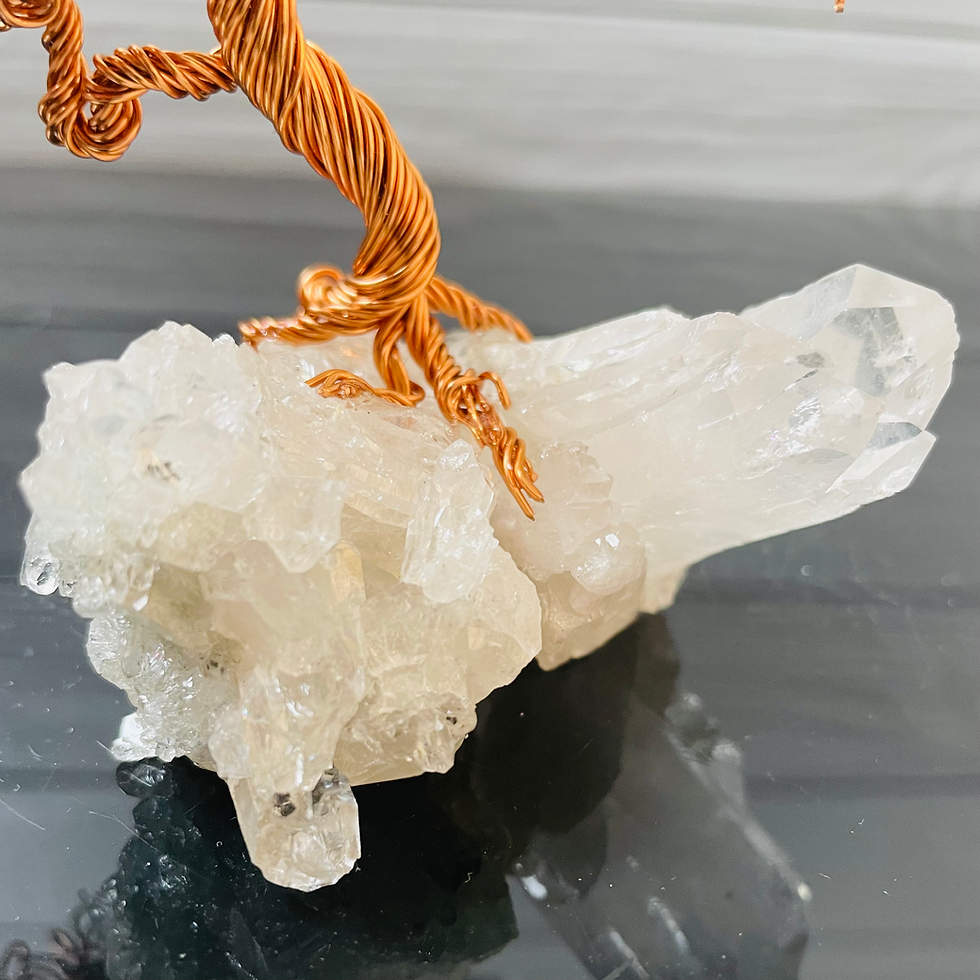 Miniaturbild: Blossom