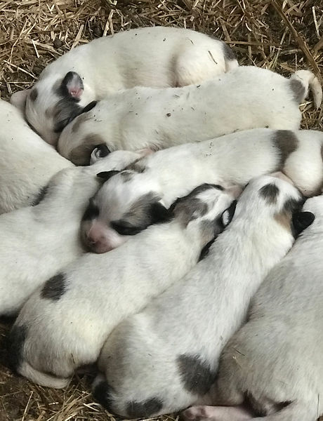 NAP TIME