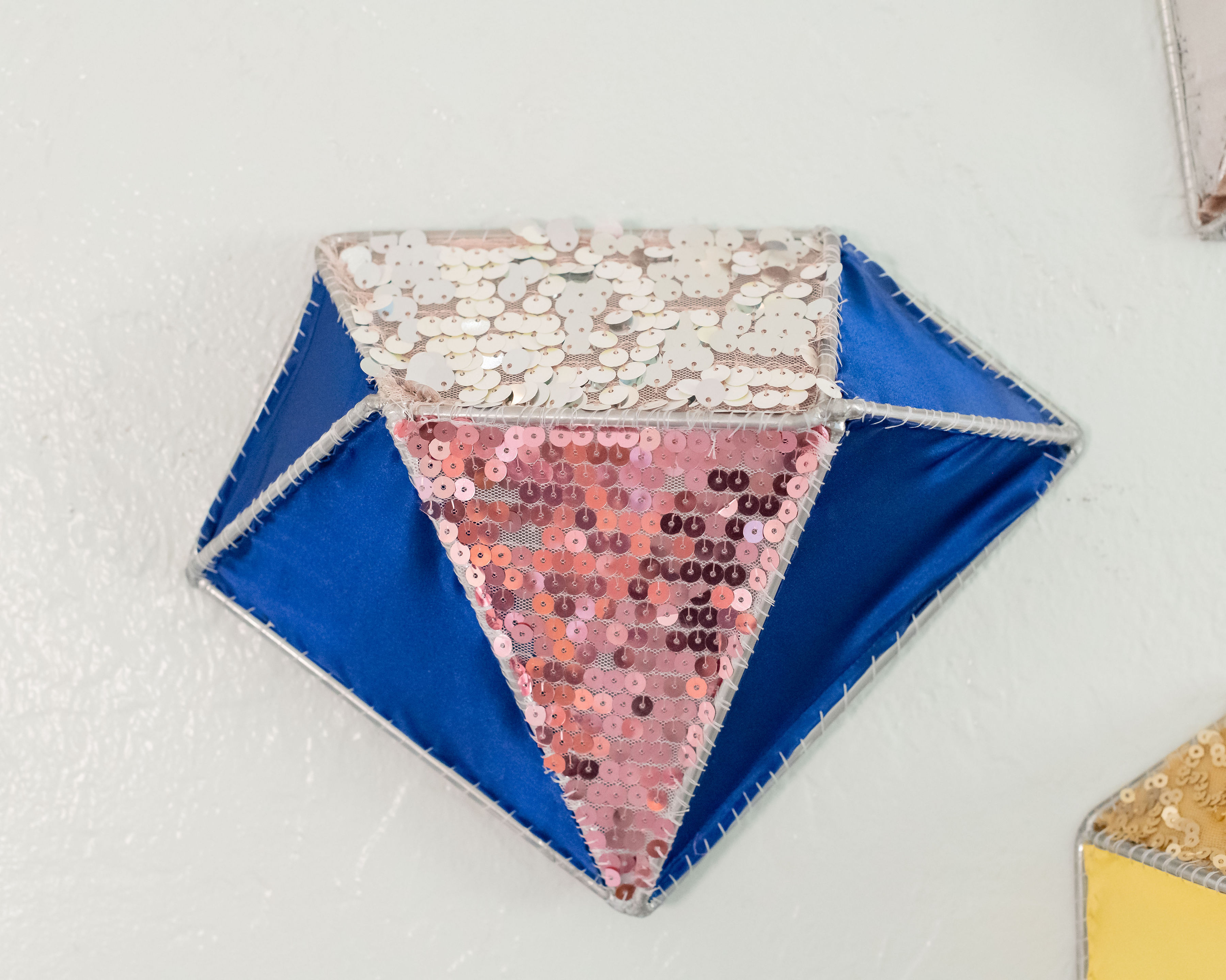 Not A Bird, Not A Plane...