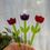 Thumbnail: Tulip Plant Stake