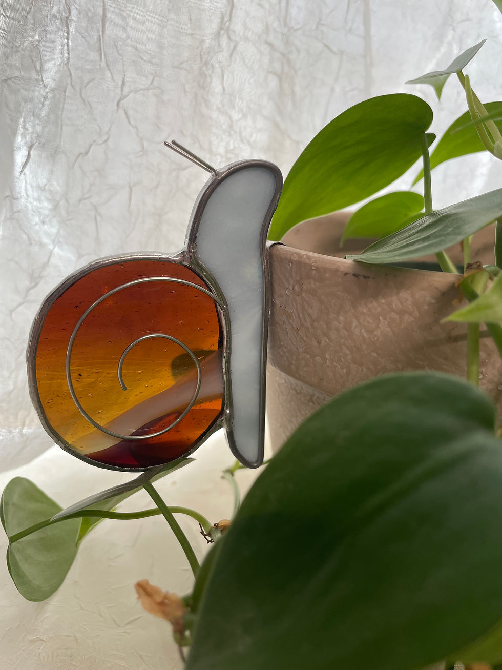 Thumbnail: Snail Plant Buddy