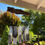 Thumbnail: Wind Chime