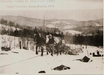 Logging-MapleMountainRockyBranch1914.jpg