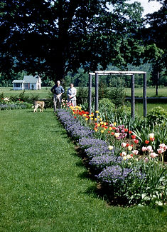 1950Maple Slide022.jpg