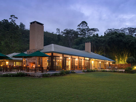 Ceylon Tea Trails | Luxury Sri Lanka | Tribù Travel